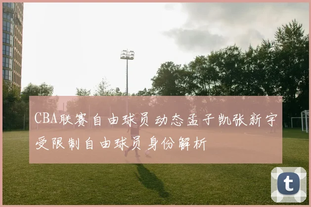 CBA联赛自由球员动态孟子凯张新宇受限制自由球员身份解析